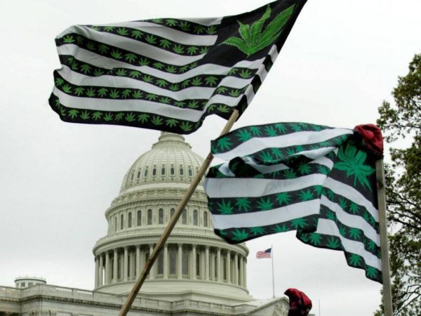 Trump White House Claims Executive Privilege Over Agency Memos on Marijuana Legalization
