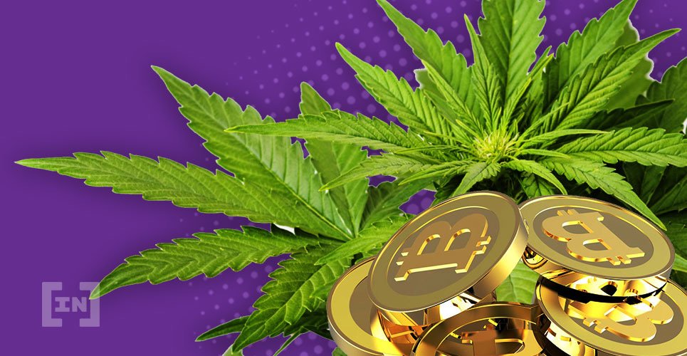 Comparing cannabis stocks with cryptocurrencies: Which one performs better in 2019?