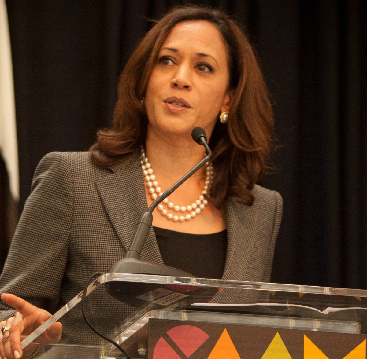 Harris: Young Black Men Jailed For Selling Pot Should Be 'First in Line for Legal Weed Jobs'