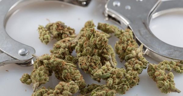 Marijuana Arrests Are Increasing Despite Legalization, New FBI Data Shows