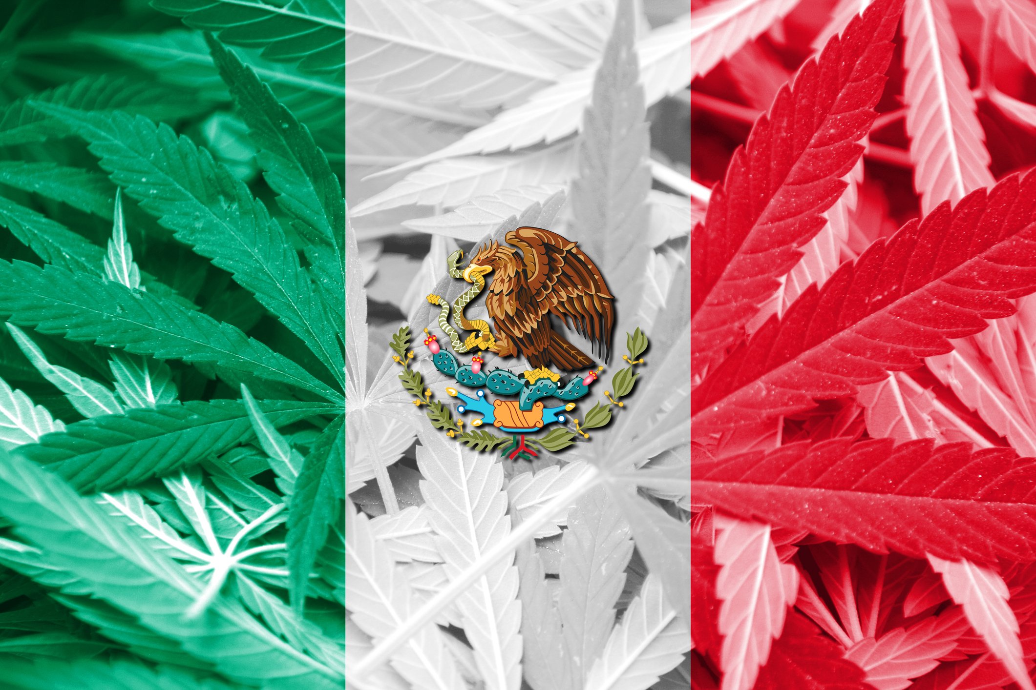 Mexico Aims to Legalize Recreational Marijuana Before October