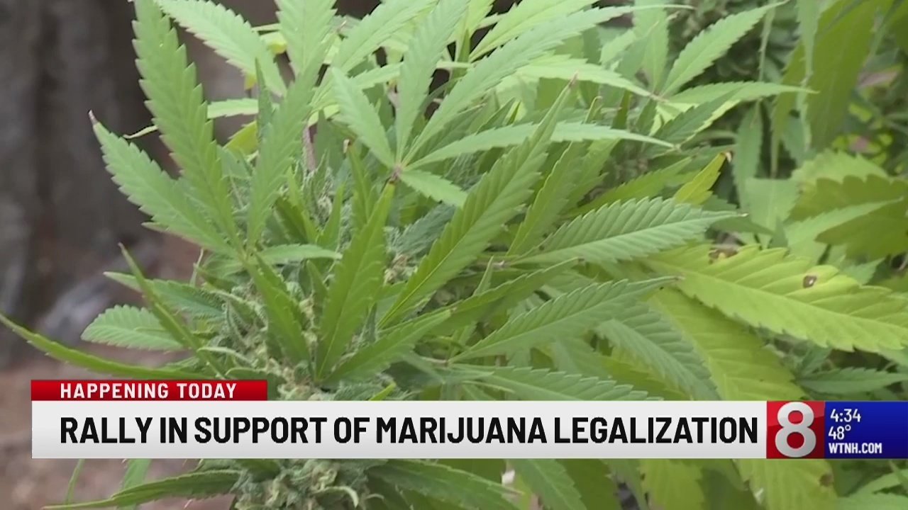 Connecticut Coalition to Regulate Marijuana Rolls Out Rally In Support Of Legalization