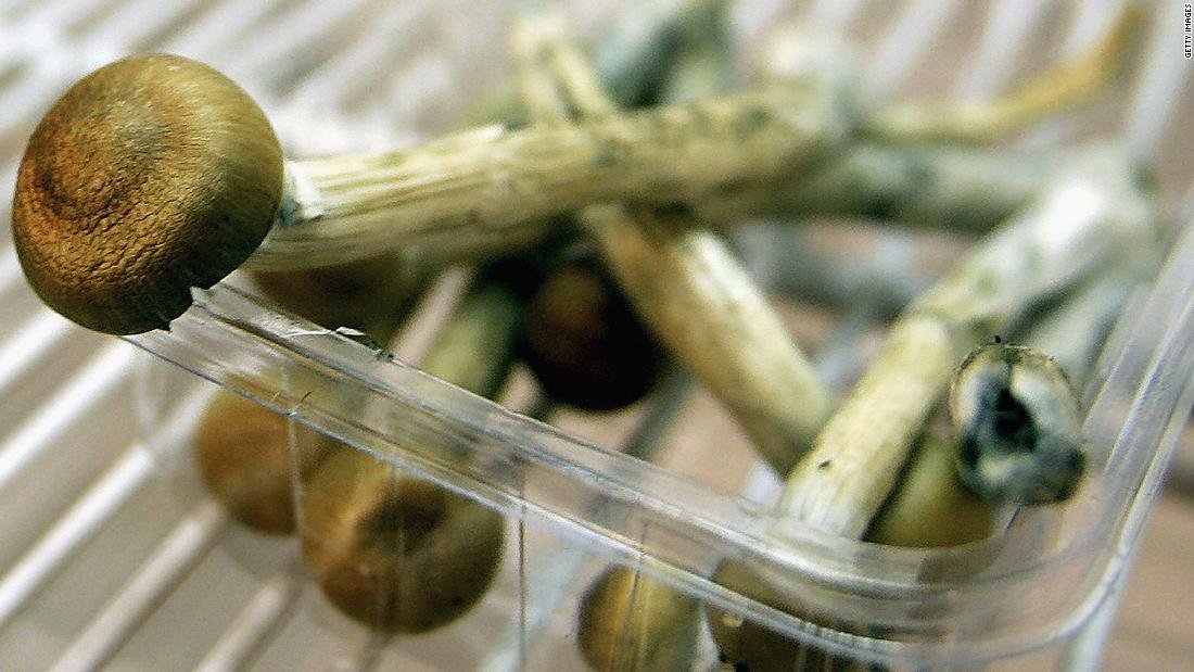 Denver becomes the first city to decriminalize hallucinogenic mushrooms