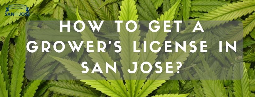 How To Get A Grower’s License in San Jose? See For These Tips First