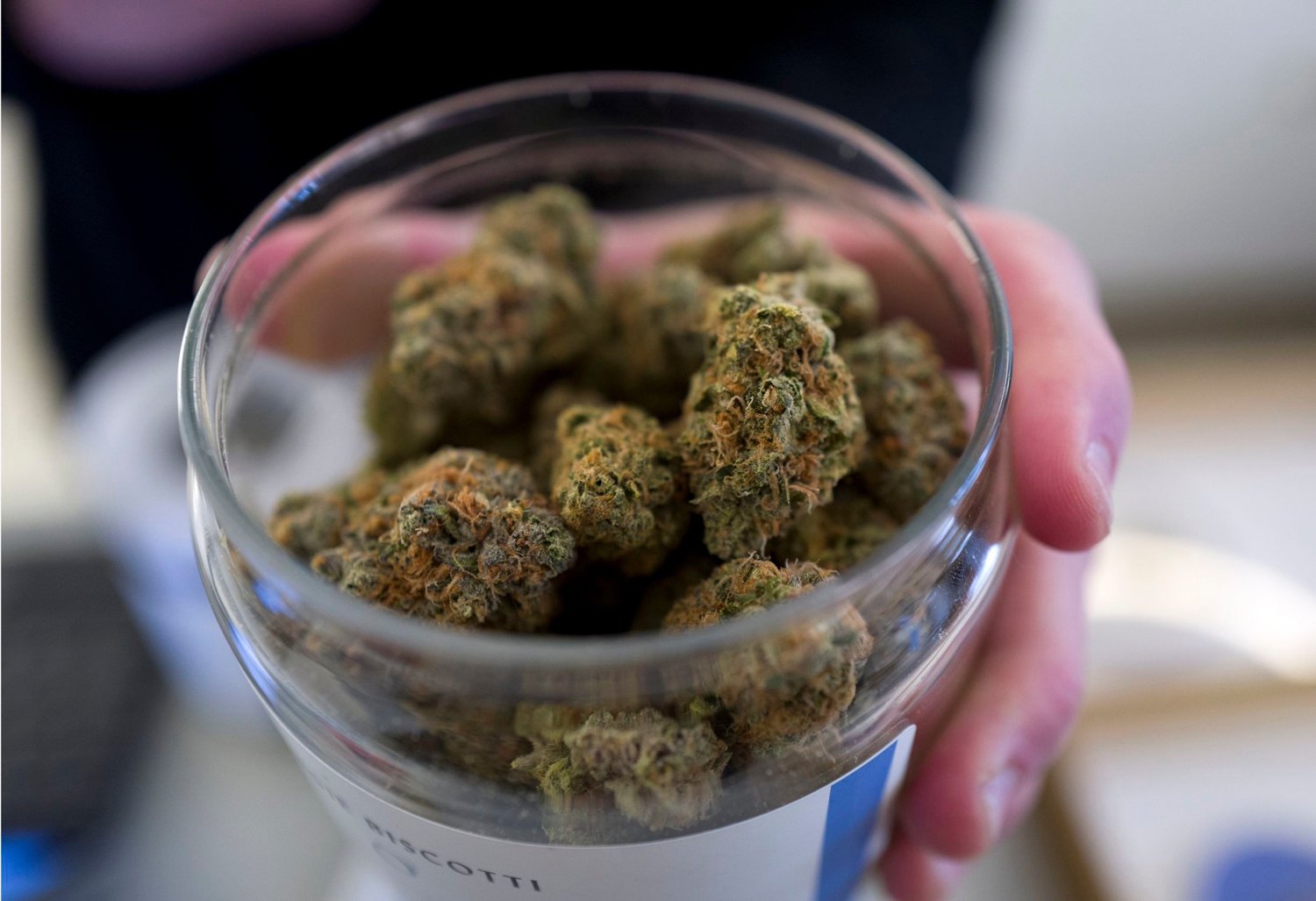 Marijuana Dispensaries Have No Impact on Crime Rates, Says Study