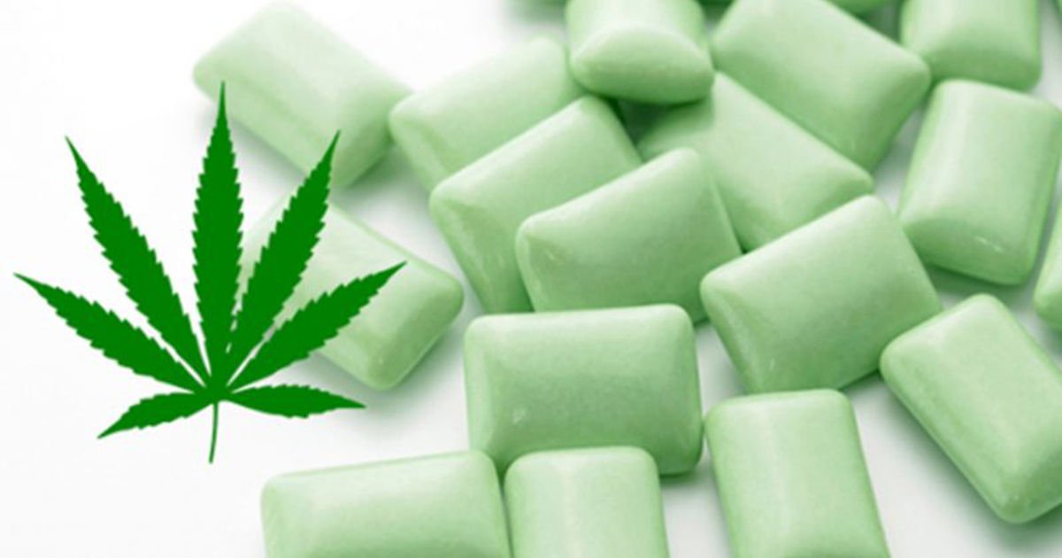 Marijuana Gum For Fibromyalgia Pain Relief: Would You Try This?