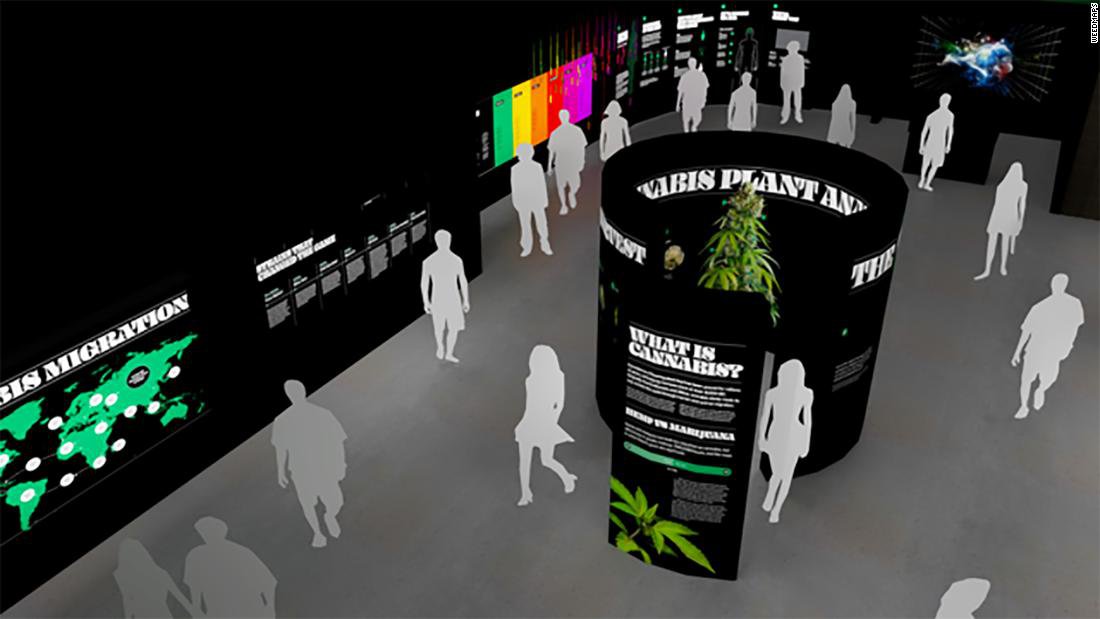 A 'Museum of Weed' is coming to Hollywood