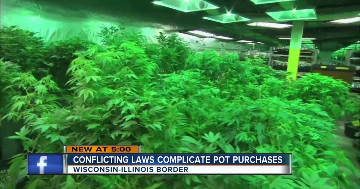Illinois legalizes recreational pot
