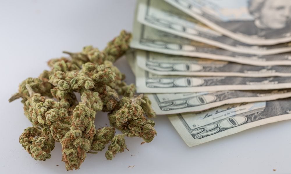 Lawmakers File Three Congressional Bills To Help Small Marijuana Businesses