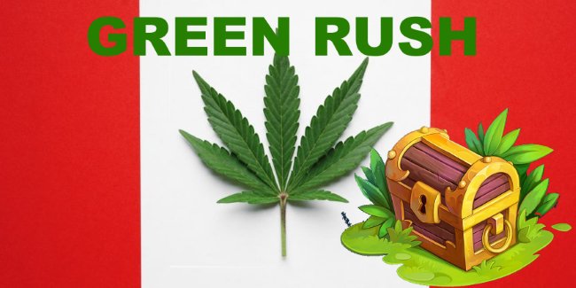 Learn about the Green Rush evolution in Canada. See how the business of cannabis is changing today.