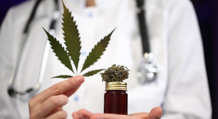 Stanford Doctor Slams the Medical Community's Ignorance on Cannabis