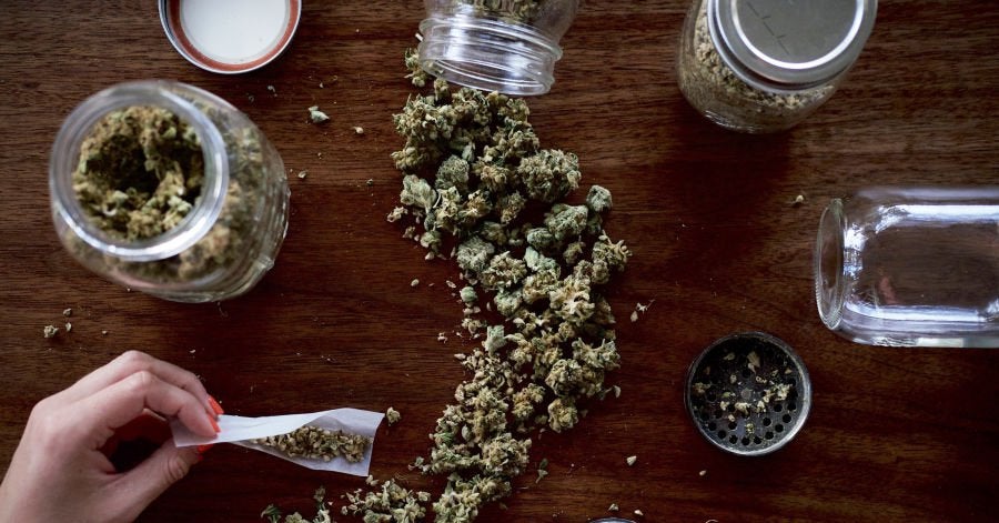 The U.S.-Canada War for Marijuana Talent