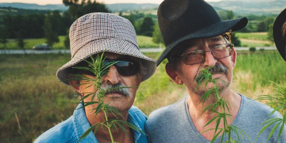 The number of people over age 65 using marijuana is increasing faster than any other age group, but they think doctors need to catch up