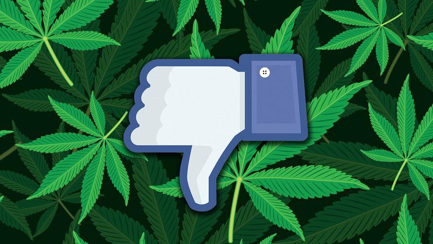 Despite the marijuana industry’s rapid growth, the social media platforms with the most users – Facebook and Facebook-owned Instagram, in particular – have proved inconsistent about their official policies surrounding MJ related business pages.