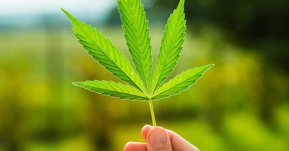 Hawaii has decriminalized marijuana