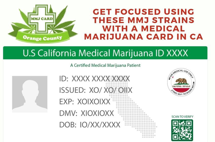 MMJ Strains for Focus using Medical Marijuana Card in CA