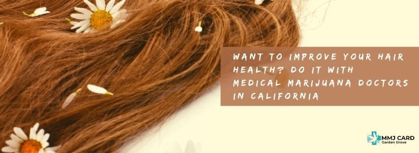 Want to Improve Your Hair Health? Do It With Medical Marijuana Doctors in California