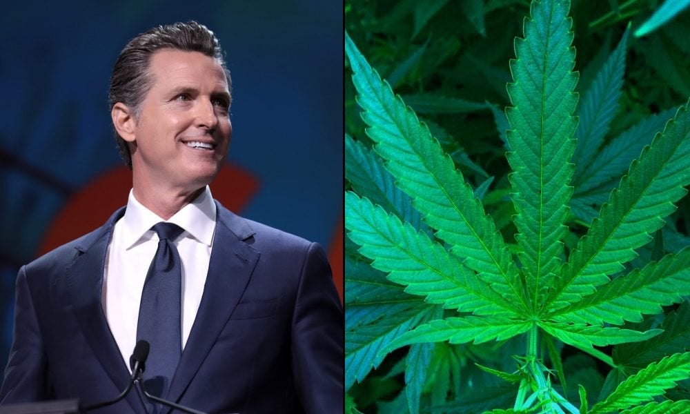California Governor Says Marijuana Legalization Is A ‘Civil Rights’ Matter Amid Mass Protests Over Racial Injustice