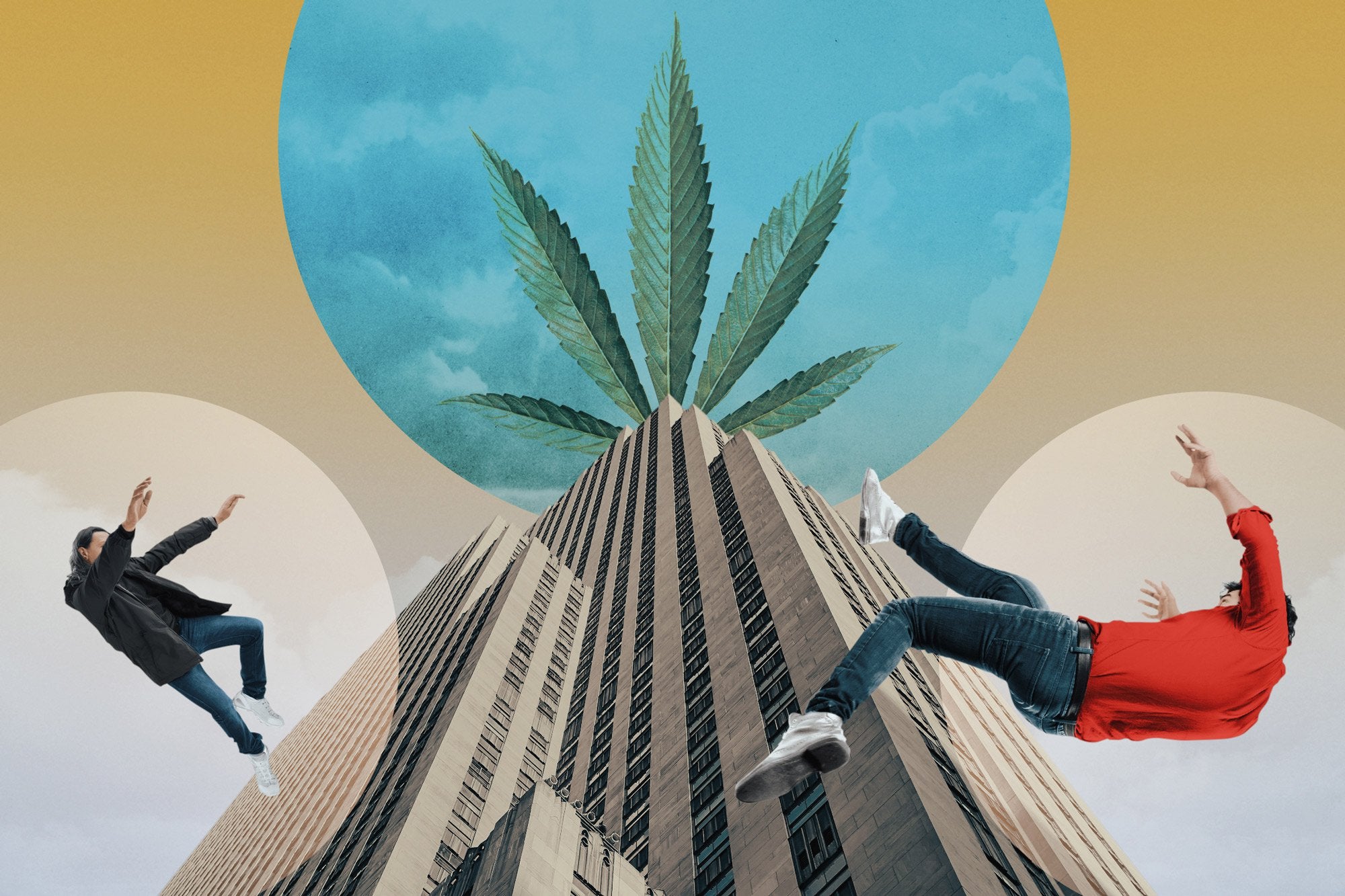 Lavish Parties, Greedy Pols and Panic Rooms: How the ‘Apple of Pot’ Collapsed