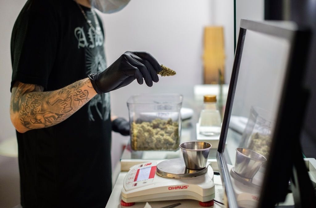 Cannabis workers could outnumber computer programmers by the end of the year