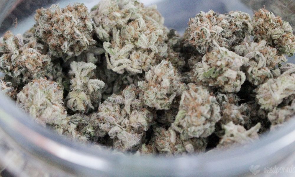 DEA Reveals Details Of Investigation Into California Marijuana Companies With Latest Court Filing
