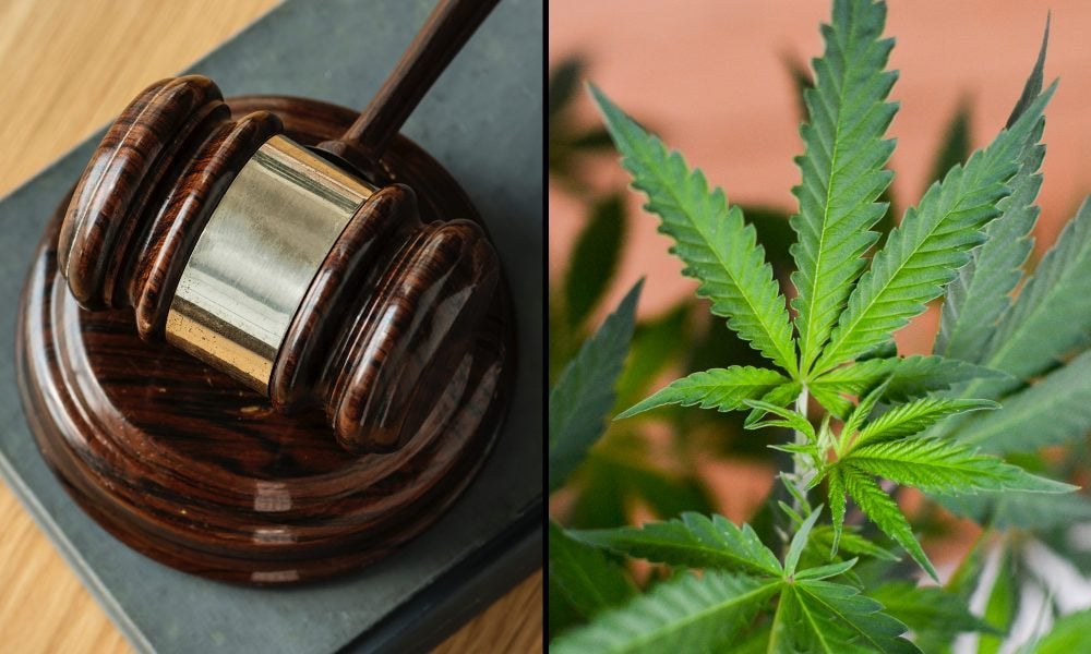 Marijuana Activists Ask Supreme Court To Hear Their Case Against DEA -- The case argues that the current classification of cannabis as a Schedule I drug under the Controlled Substances Act is “unconstitutionally irrational and violates plaintiffs’ fundamental rights.”
