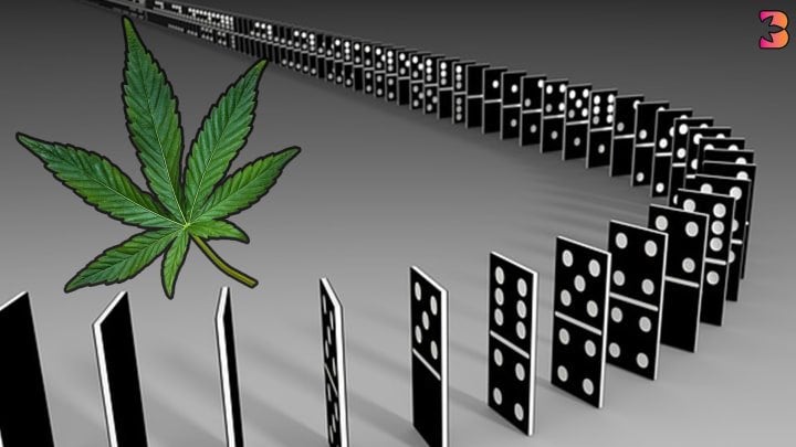 The 2020 Vote For Cannabis Legalization: 6 States And The Domino Effect