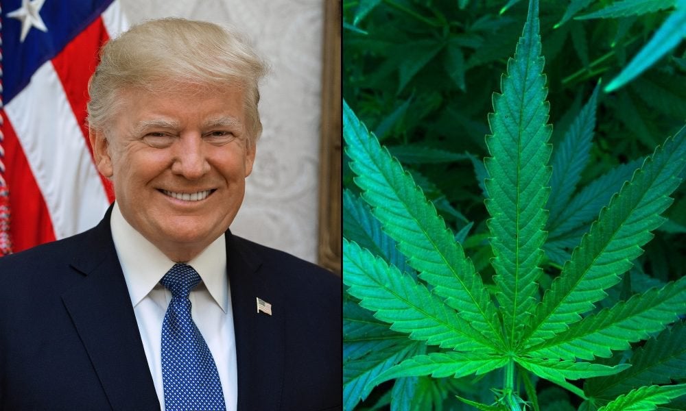 Trump Voices Concern That Putting Marijuana On The Ballot Makes Republicans Lose