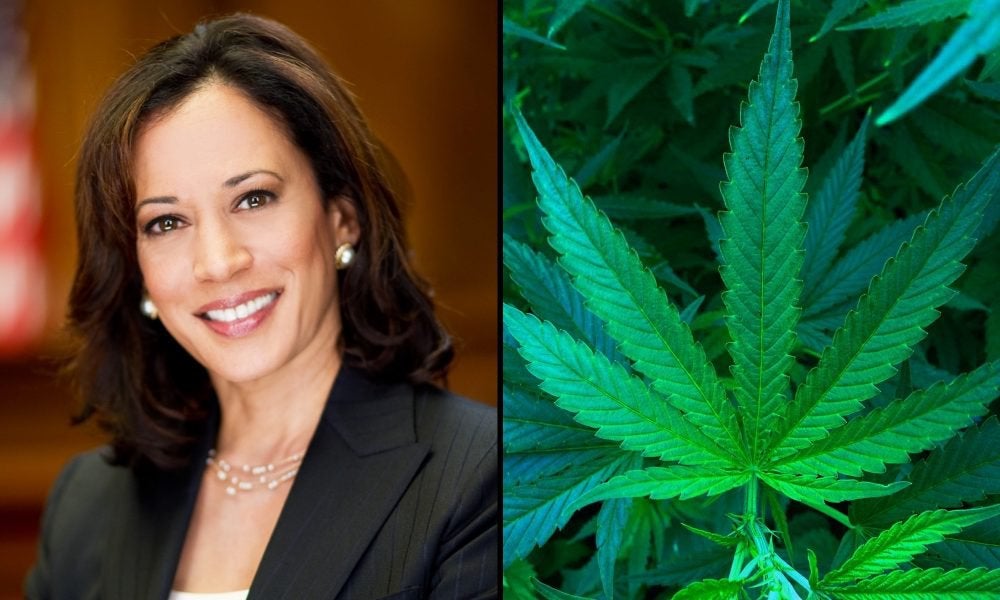Where Vice Presidential Candidate Kamala Harris Stands On Marijuana