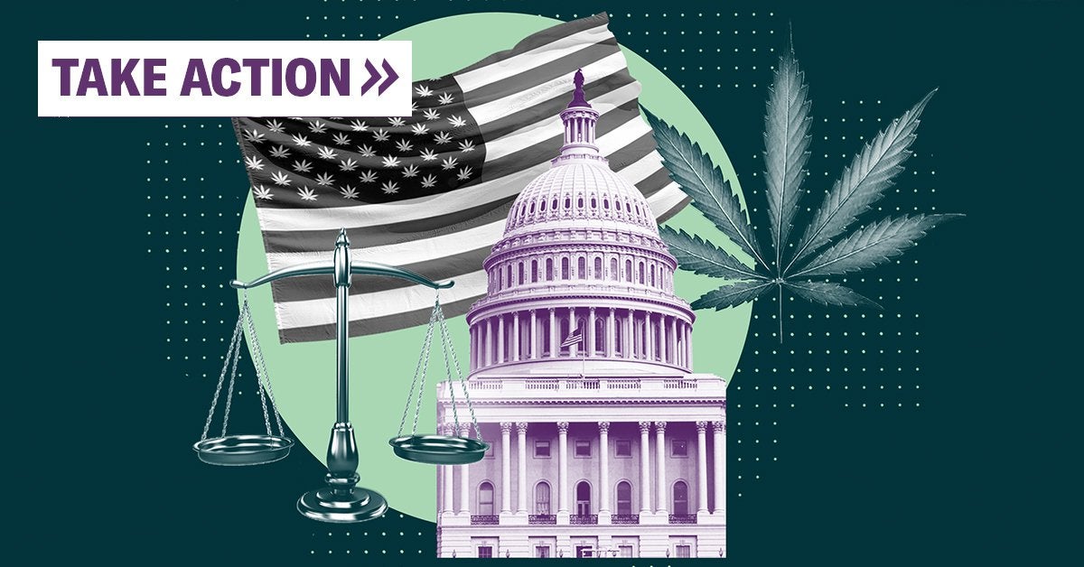 Equitable marijuana reform now → Sign the petition