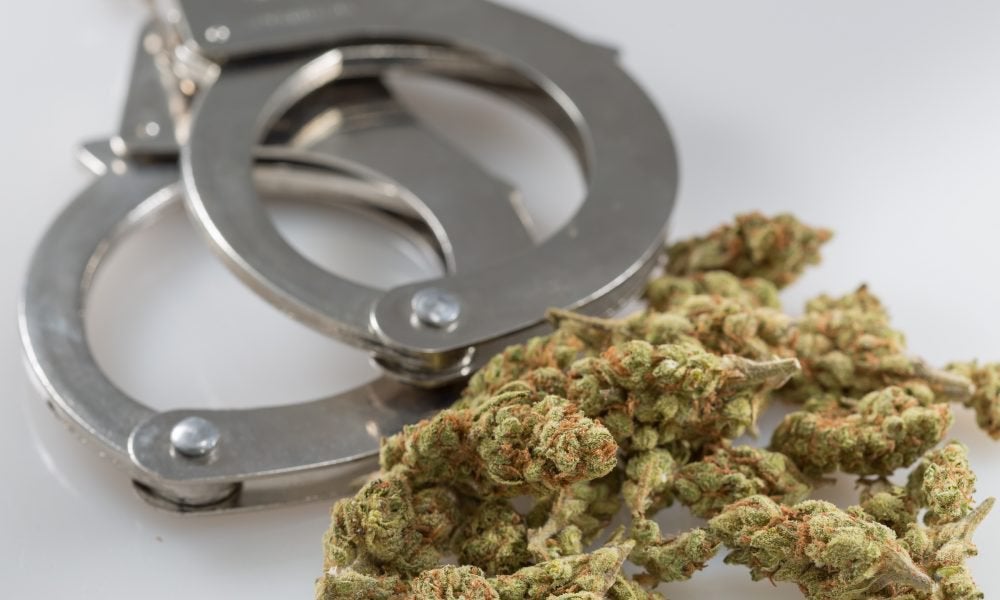 Marijuana Accounts For One In Ten South Dakota Arrests, New Report Shows Ahead Of Legalization Vote