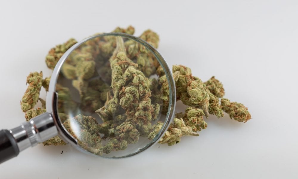 Marijuana Research Bill Scheduled For Key Congressional Vote Next Week, Committee Announces