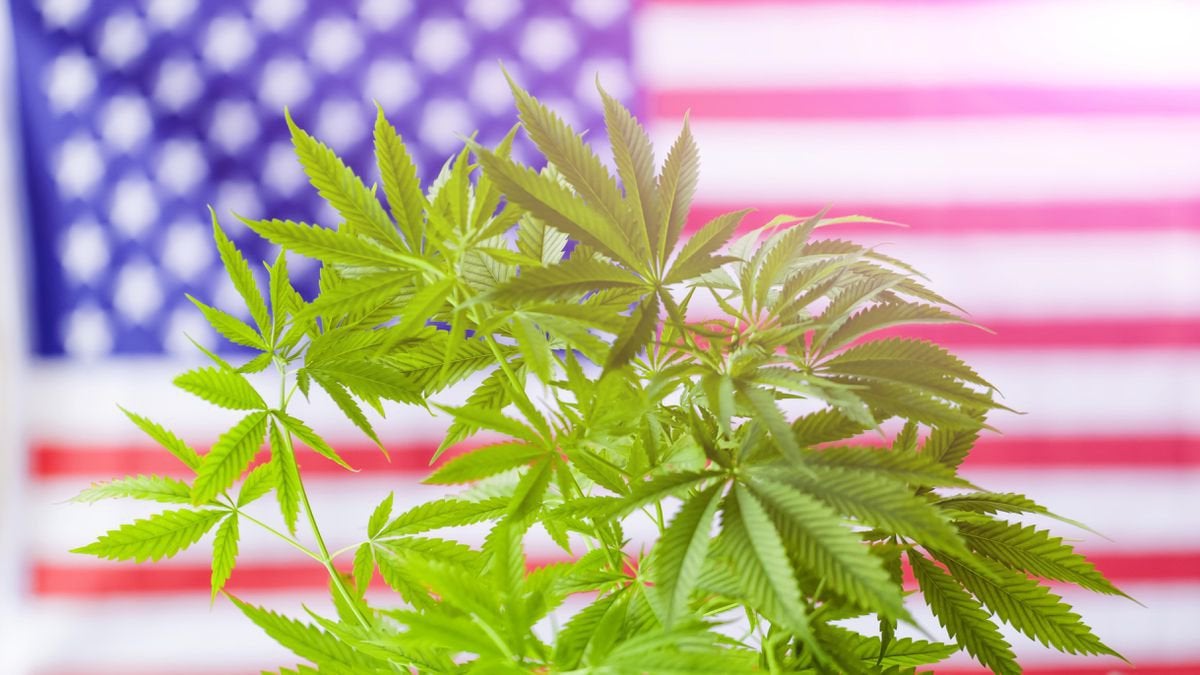 These States Will Be The Next To Legalize Marijuana