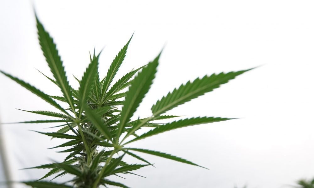 Vermont House Approves Marijuana Expungement And Decriminalization Expansion Bill