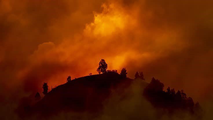 Wildfires Tear Across Western U.S. as Cannabis Growers Prepare and Respond