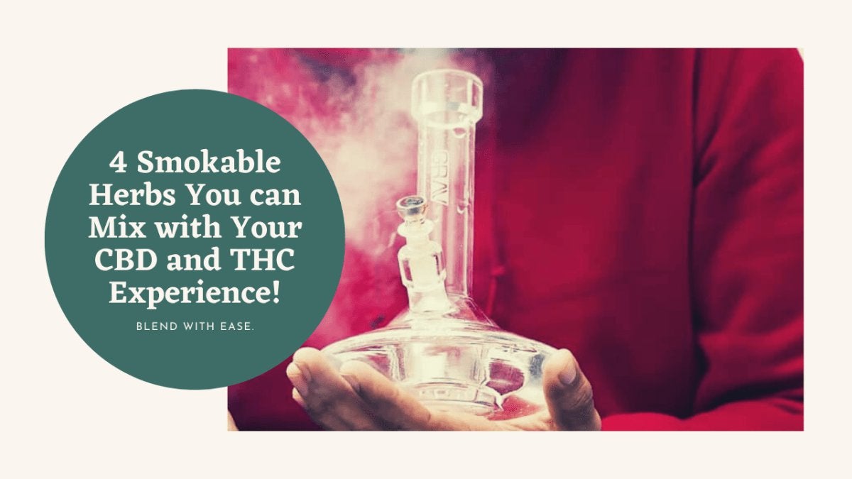 4 Smokable Herbs You can Mix with Your CBD and THC Experience