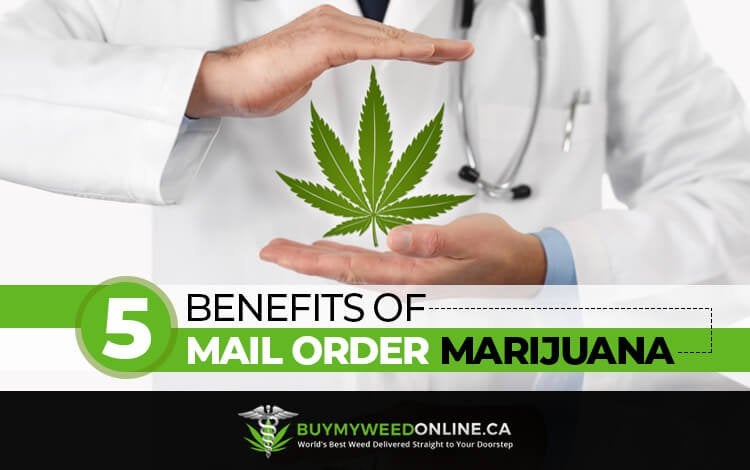 5 Benefits of Mail Order Marijuana: Learn Why Buying Weed Online is King