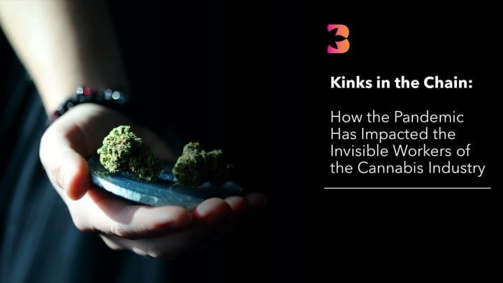Kinks in the Chain: How the Pandemic Has Impacted the Invisible Workers of the Cannabis Industry