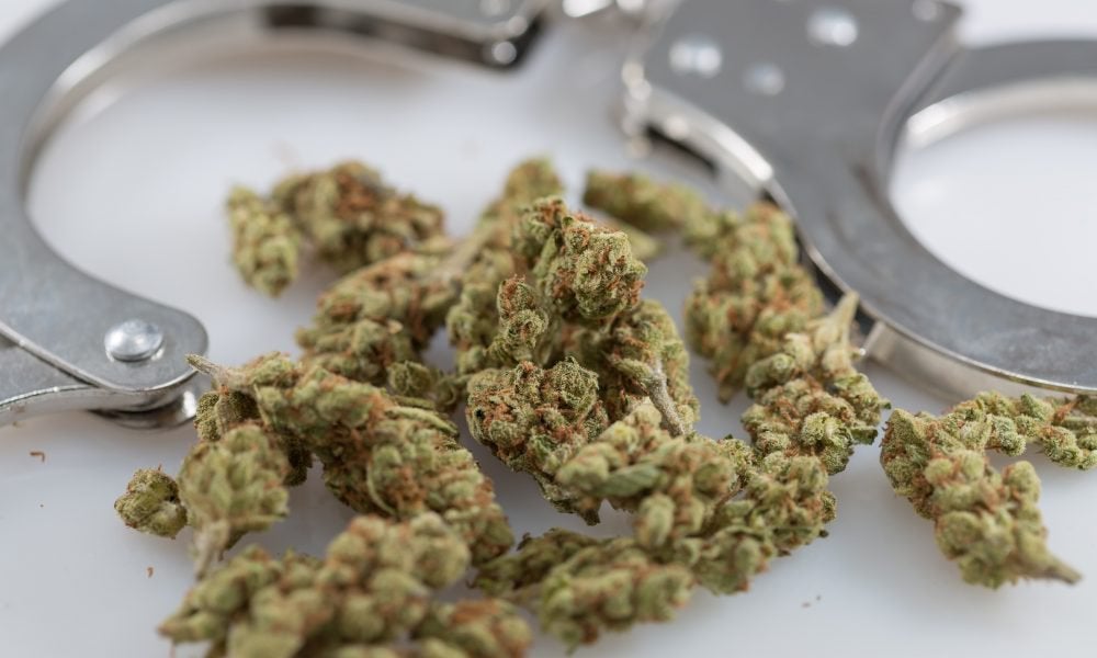 Marijuana Arrests Decline Nationally For First Time In Four Years, FBI Data Shows