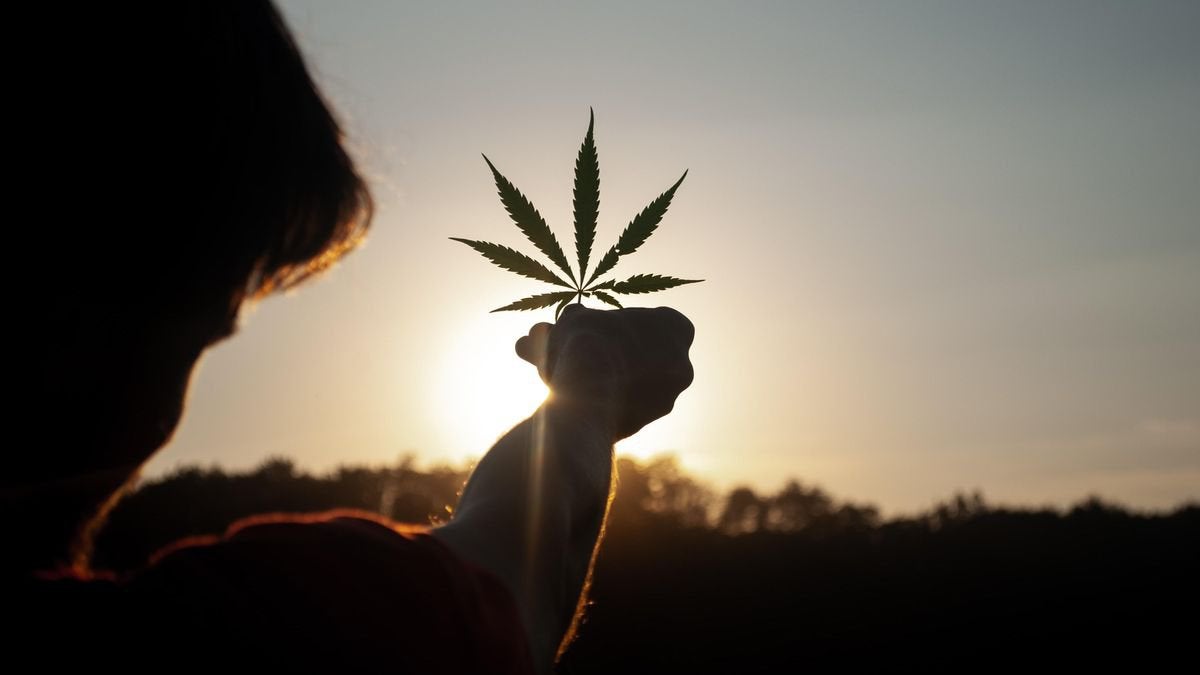 Oregon’s Rep. Blumenauer Calls For Supreme Court To Review Historic Cannabis Lawsuit