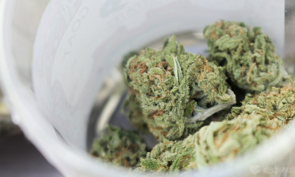 Pennsylvania Governor Again Calls On Lawmakers To Legalize Marijuana
