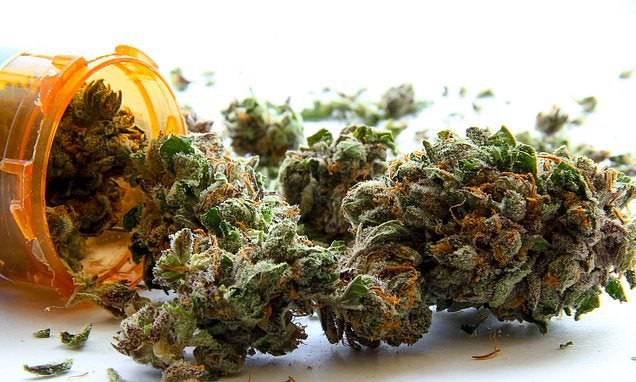 THC chemical in cannabis could help prevent and treat deadly COVID-19 complications