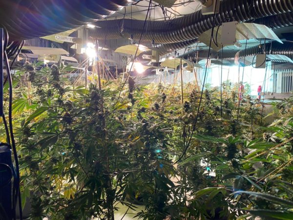 Three arrests as NCA uncovers million pound cannabis farm in Coventry nightclub