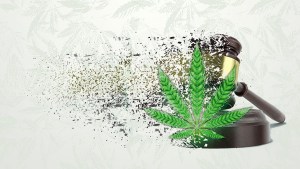 Marijuana Court Decision