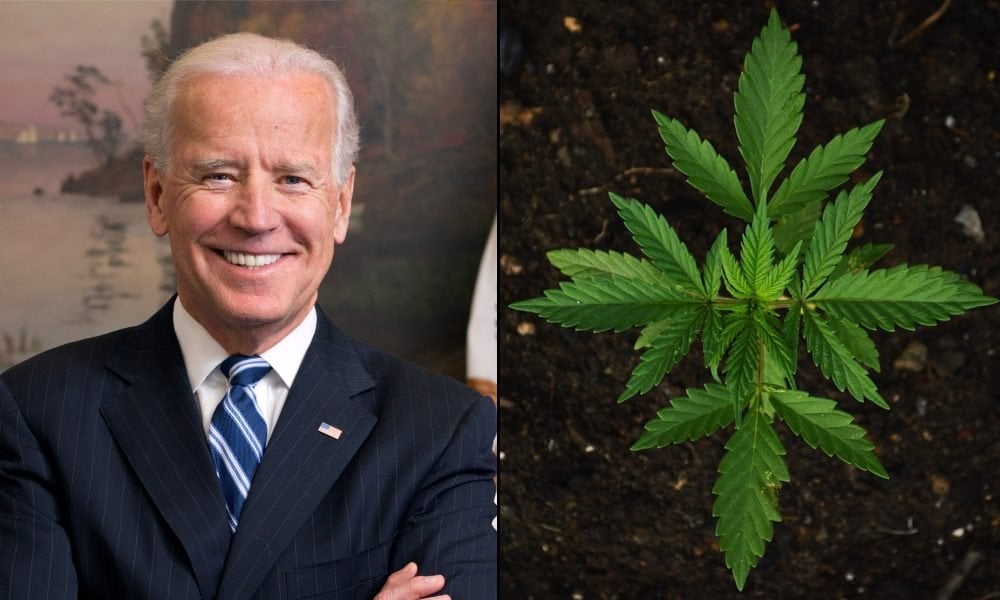Biden DOJ Tells Federal Court Not To ‘Disrupt’ Marijuana Rescheduling Decision By Allowing Industry Lawsuit To Proceed