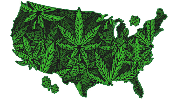 Marijuana Momentum Heats Up Across The US