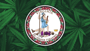Virginia cannabis