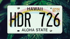 Hawaii marijuana laws