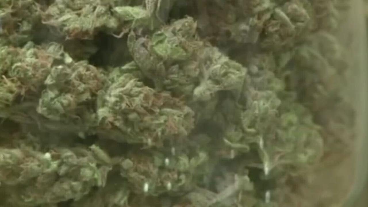 Michigan dispensaries reminded about proper disposal after weed taken by dumpster divers