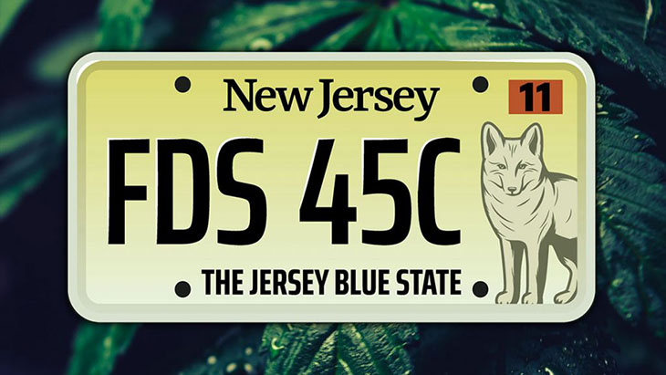 New Jersey Activists Mark 100,000 Marijuana Arrests Prevented